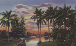 Lago del Country Club, Tó a Country Club Parkban (színes fotó)