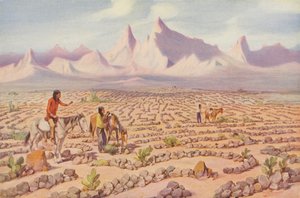 A Mojave indiánok misztikus útvesztője, Needles közelében, Kalifornia (színes fotó) alkotó: American Photographer