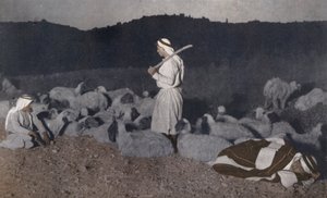 Palesztin pásztorok figyelik éjszakai nyájukat (színes fotó) alkotó: American Photographer