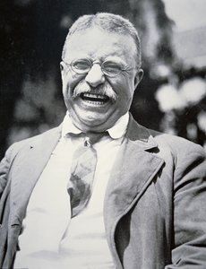 Theodore Roosevelt elnök, 1917 körül (f/w fotó) alkotó: American Photographer