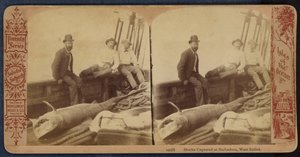Cápák Barbadoson, Nyugat-Indiában (fekete-fehér fotó) alkotó: American Photographer