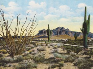 Superstition hegység és sivatag, "Apache Trail" (színes fotó) alkotó: American Photographer