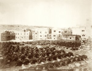 Bőrgyár Hebronban az előtérben kirakott bőrökkel, 1898-1911 alkotó: American Photographer