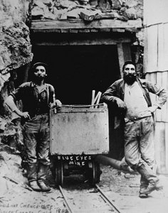 Az utolsó esély bányája, Kalifornia alkotó: American Photographer