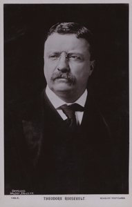 Theodore Roosevelt, amerikai politikus, az Egyesült Államok 26. elnöke (fekete-fehér fotó) alkotó: American Photographer