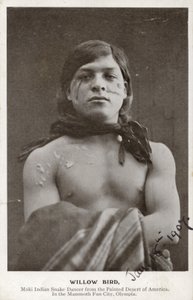 Willow Bird - Moki indián kígyótáncos az amerikai festett sivatagból (fekete-fehér fotó) alkotó: American Photographer