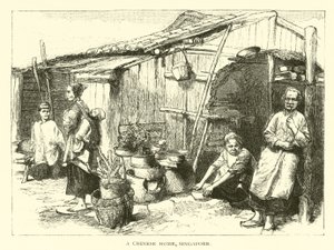 Egy kínai otthon, Szingapúr alkotó: American School