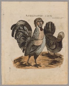 Egy filozófiai kakas, 1804 alkotó: American School