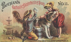 A Buchans Carbolic fertőtlenítő szappan hirdetése 11. sz., 1880 körül alkotó: American School