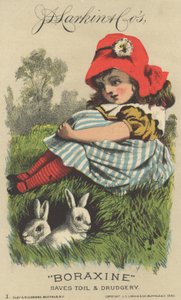 J. D. Larkin és Cos Boraxine reklámja, 1882