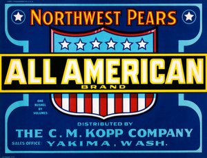 All American Brand Fruit Crate Label, 1920 körül (litográfia) alkotó: American School