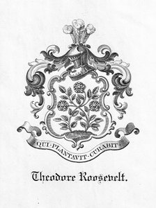 Theodore Roosevelt elnök (1858-1919) könyvtáblája (nyomtatott) alkotó: American School