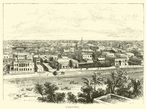 Calcutta alkotó: American School