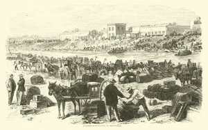 Brownsville konföderációs evakuálása, 1863. november alkotó: American School