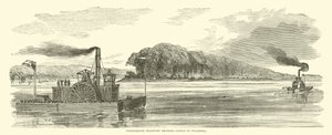 Szarvasmarhát szállító konföderációs szállítmány Vicksburgba, 1863. február
