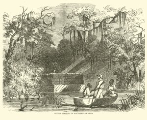 Gyapotkincsek a déli mocsarakban, 1862. július alkotó: American School