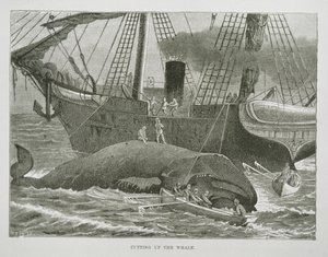 Cutting up the Whale, The American Whale Fishery, 1850 körül (metszet) alkotó: American School