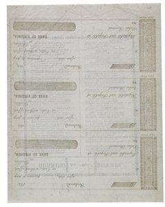 Dixie egy csekk hátoldalára nyomtatva, 1861 alkotó: American School