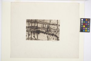 Girl By Pond (tinta) alkotó: American School