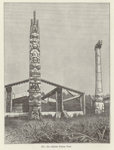 Haida Totem Post alkotó: American School
