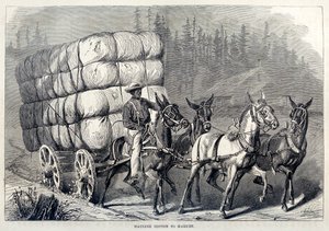 Pamut szállítása a piacra, az Egyesült Államok százéves fejlődésétől, pub. 1871-es metszet alkotó: American School