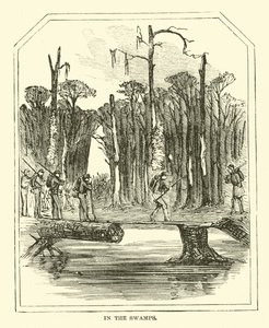 A mocsarakban 1863. márc alkotó: American School