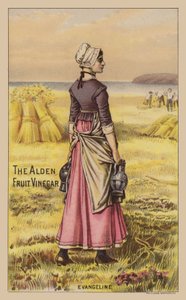 Lady in Field gazdaság ecetes üvegek