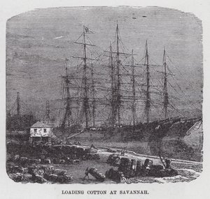 Pamut berakása Savannahban (metszet) alkotó: American School
