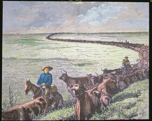 Longhorn marhahajtás Texasból Abilene-be, Kansas államba, 1870 körül (színes litho) alkotó: American School