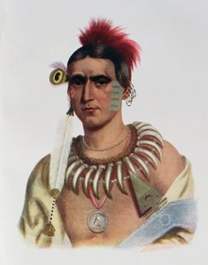 Ma-Has-Kah vagy „White Cloud”, egy iowai főnök, illusztráció a „The Indian Tribes of North America, Vol.1”, Thomas L. McKenney és James Hall, pub. írta John Grant alkotó: American School