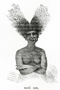 Mare Girl, illusztráció az Appletons Journalból, 1872. május 4 alkotó: American School