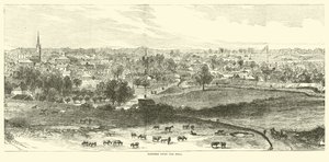 Natchez a dombon, 1862. május alkotó: American School