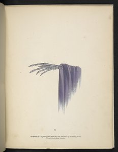 8. tábla. Egy csontvázas kéz.  Spectropia; vagy Meglepő spektrális illúziók, amelyek mindenhol szellemeket mutatnak, bármilyen színben stb. ser. 1.  J.H. Barna  1864 alkotó: American School