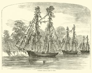 Porters aknavető flotta Trimben, 1862. június alkotó: American School