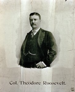 Theodore Roosevelt ezredes portréja alkotó: American School