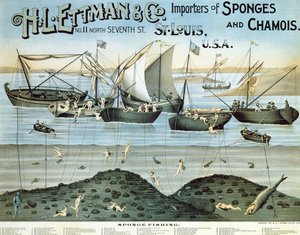 H.L. Ettman & Co., Szivacs- és zergeimportőrök, 1897-es plakát