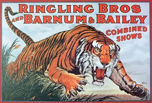 A "Ringling Bros. és a Barnum & Bailey kombinált műsorokat" reklámozó plakát alkotó: American School