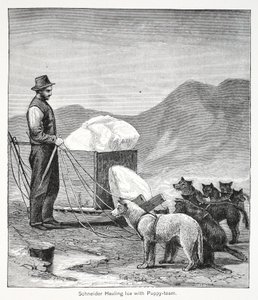 Schneider jeget cipel a Puppy-team, kocsma. London 1886 alkotó: American School