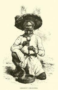 Bájos kígyó alkotó: American School