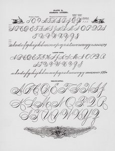 Szabványos levelek; Női kéz; Egész karú nagybetűk (metszet) alkotó: American School