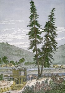 Sutter malma alkotó: American School