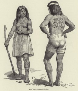 Tattooed Haidas alkotó: American School