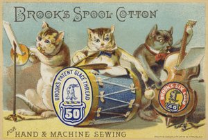 A Cat Band alkotó: American School