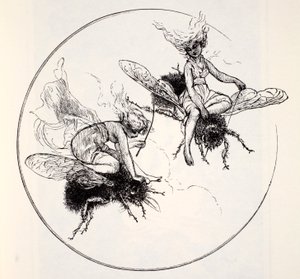 Thomas Keightley (1789-1872) The Days of The World Guide to Gnómok, Tündérek, Tündék és Más kisemberek Világkalauza Megjelent 1880 alkotó: American School