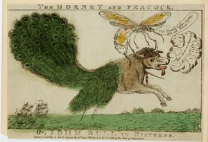 The Hornet and Peacock, vagy, John Bull in distress, 1813 (metszet metszet) alkotó: American School