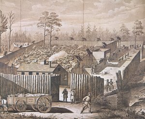 A hadifogolytábor Andersonville-ben (litho) alkotó: American School