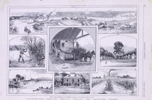 Louisiana cukoripara alkotó: American School