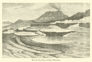 A Roto Mahana Te-Ta-Kata alkotó: American School