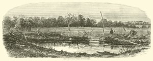 A búzamező, ahol Reynolds elesett, 1863. július alkotó: American School