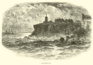 Tynemouth alkotó: American School